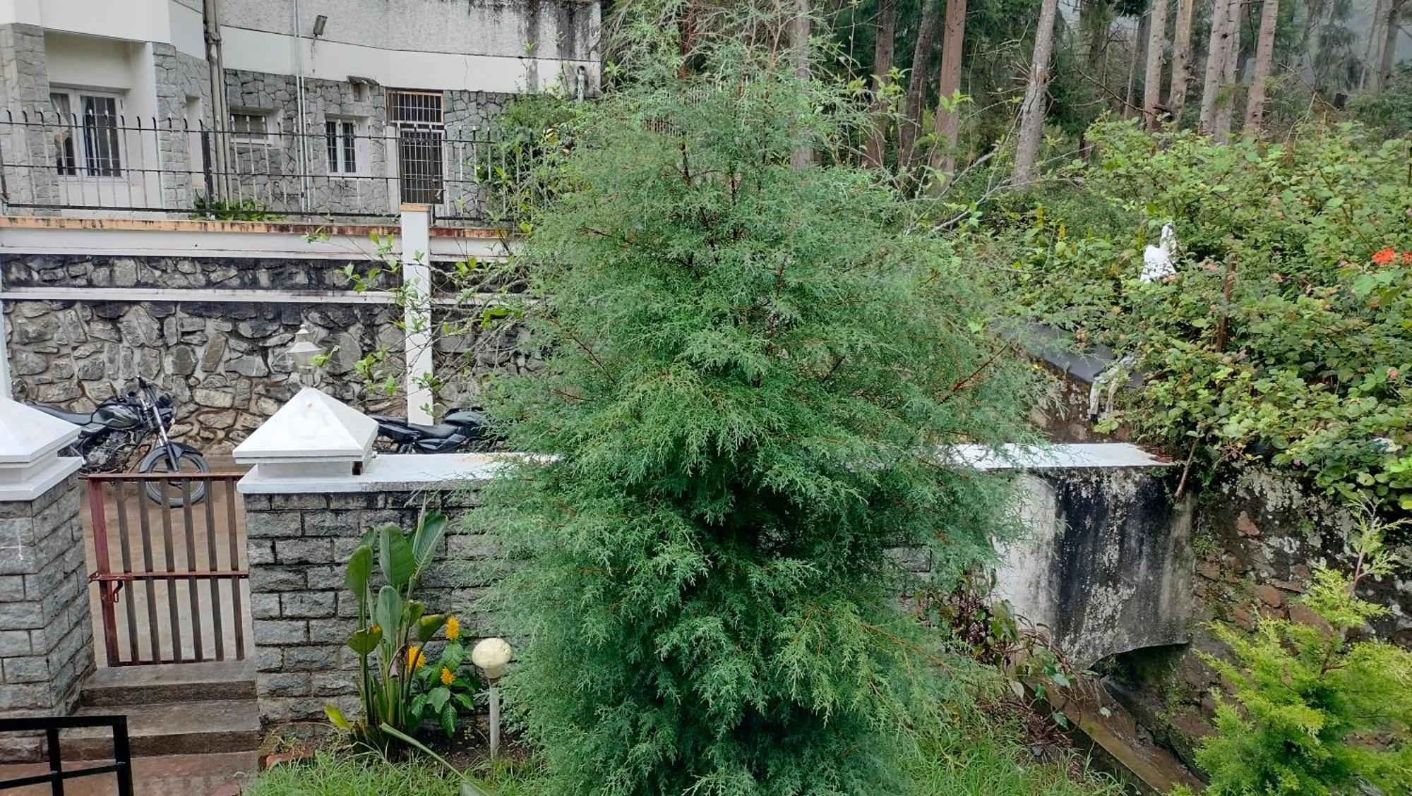 Kodai King Suite Kodaikanal Zewnętrze zdjęcie