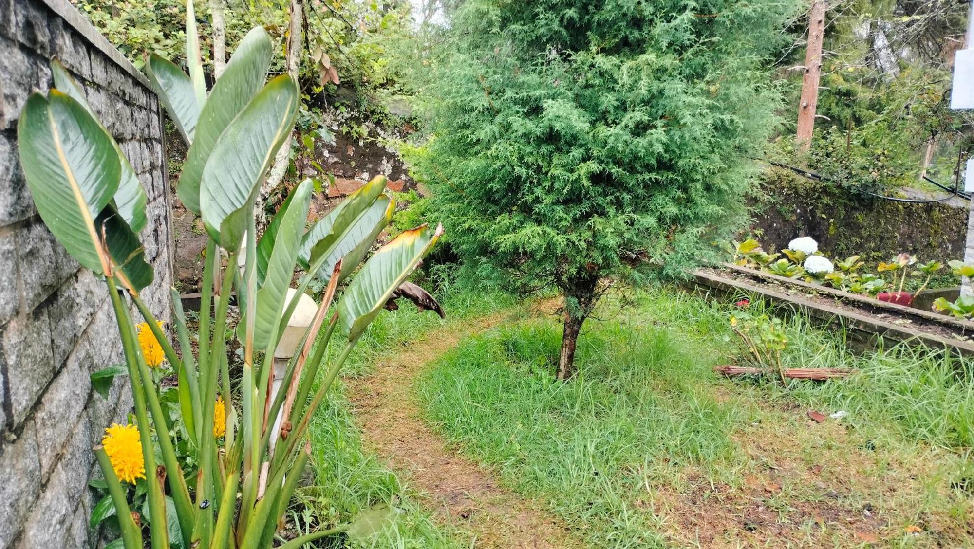 Kodai King Suite Kodaikanal Zewnętrze zdjęcie